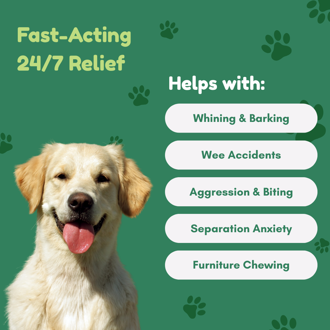 Dog Calming Diffuser Kit