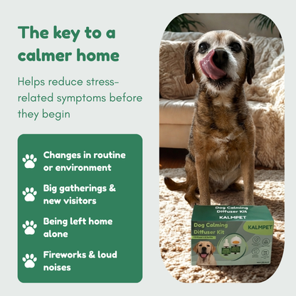 Dog Calming Diffuser Kit