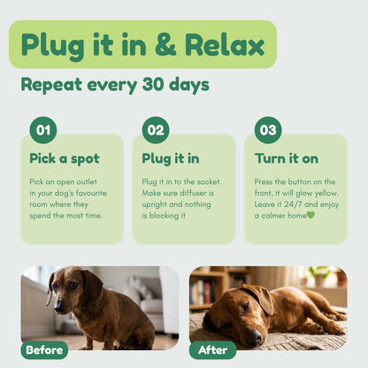 Dog Calming Diffuser Kit